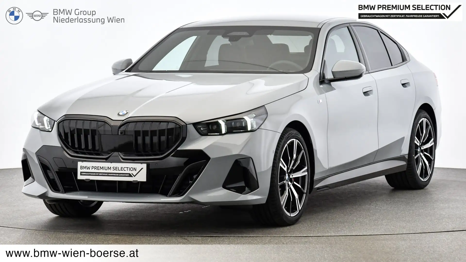 BMW 520 520d xDrive Gris - 1