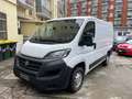 Fiat Ducato CH1 Blanc - thumbnail 1