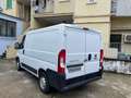 Fiat Ducato CH1 Blanc - thumbnail 4