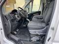 Fiat Ducato CH1 Blanc - thumbnail 14