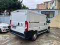 Fiat Ducato CH1 Blanc - thumbnail 3