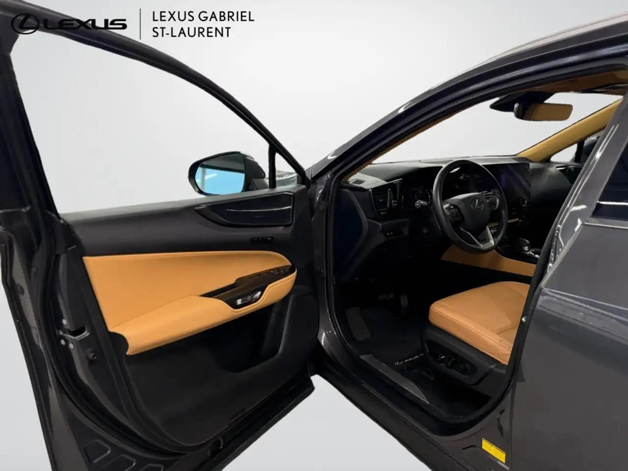 Lexus NX снимка Lexus NX