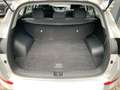 Hyundai TUCSON TUCSON 1.6 Classic blue Allwetterreifen Argento - thumbnail 12