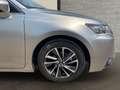 Lexus CT 200h Business Gris - thumbnail 10