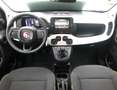Fiat Panda Pandina III 2025 Cross 1.0 firefly hybrid s Bleu - thumbnail 7