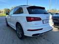 Audi Q5 TETTO  APRIBILE  S line Plus quattro 190cv Blanc - thumbnail 4