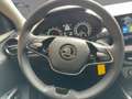 Skoda Fabia DSG Navi LED SHZ 1.0 TSI 110 PS Ambition Nero - thumbnail 11