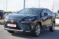 Lexus NX 300 NX 300h Executive Line (E-Four) LED Navi Kamera Negro - thumbnail 2