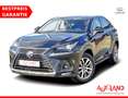 Lexus NX 300 NX 300h Executive Line (E-Four) LED Navi Kamera Negro - thumbnail 1