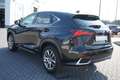 Lexus NX 300 NX 300h Executive Line (E-Four) LED Navi Kamera Negro - thumbnail 8