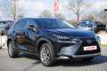 Lexus NX 300 NX 300h Executive Line (E-Four) LED Navi Kamera Negro - thumbnail 4