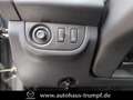 Dacia Sandero II 0.9 TCe 90 Stepway Celebration incl.W-Reifen Grau - thumbnail 22