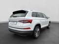 Skoda Kodiaq 2.0 TDI DSG 4x4 TOUR MATRIX CANTON Weiß - thumbnail 3