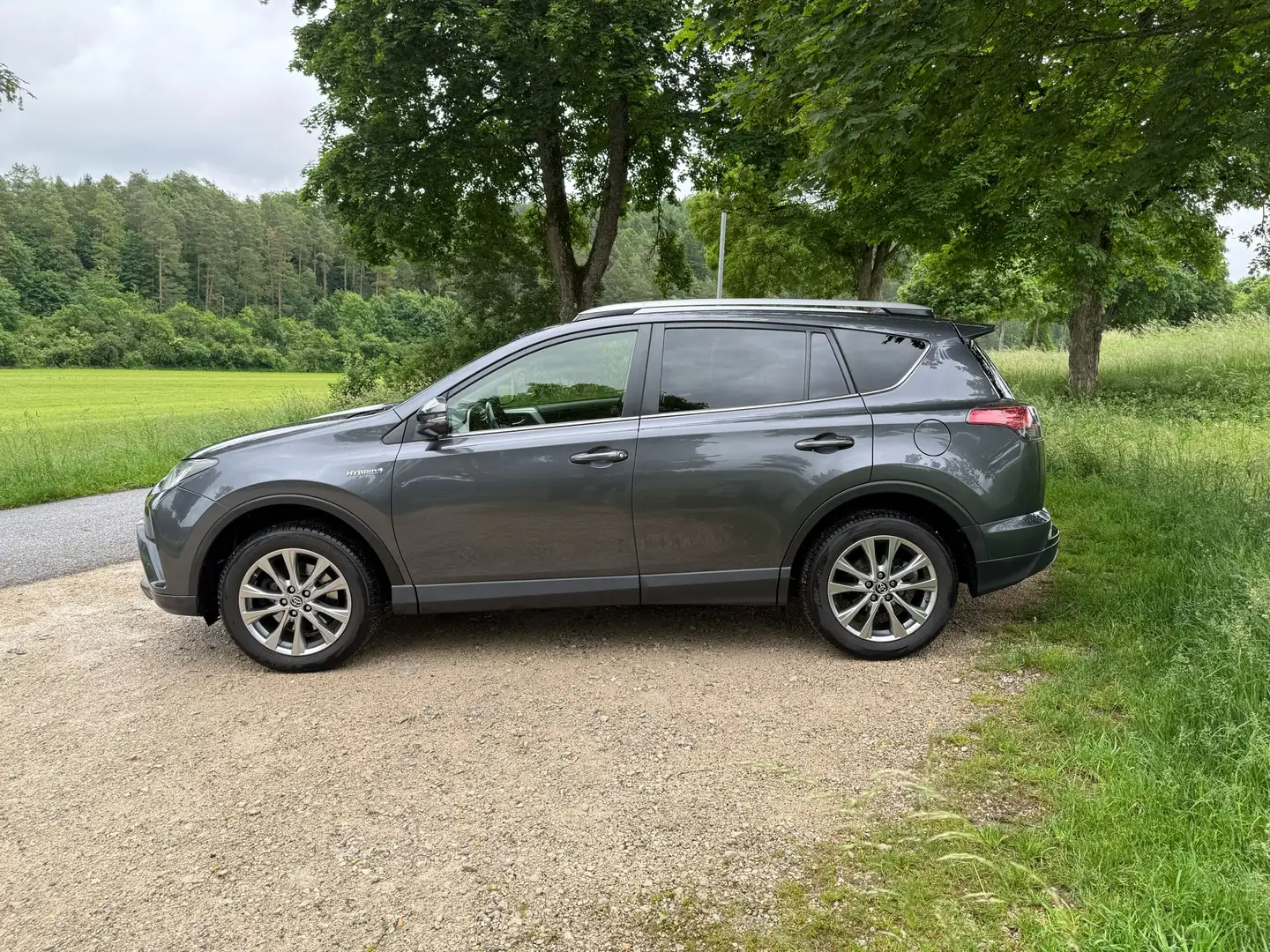 Toyota RAV 4 2.5 4x4 Hybrid Comfort Grau - 1