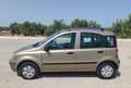 Fiat Panda 1.2 Dynamic Gpl 5 posti LEGGI la descrizione - thumbnail 4
