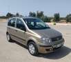 Fiat Panda 1.2 Dynamic Gpl 5 posti LEGGI la descrizione - thumbnail 3
