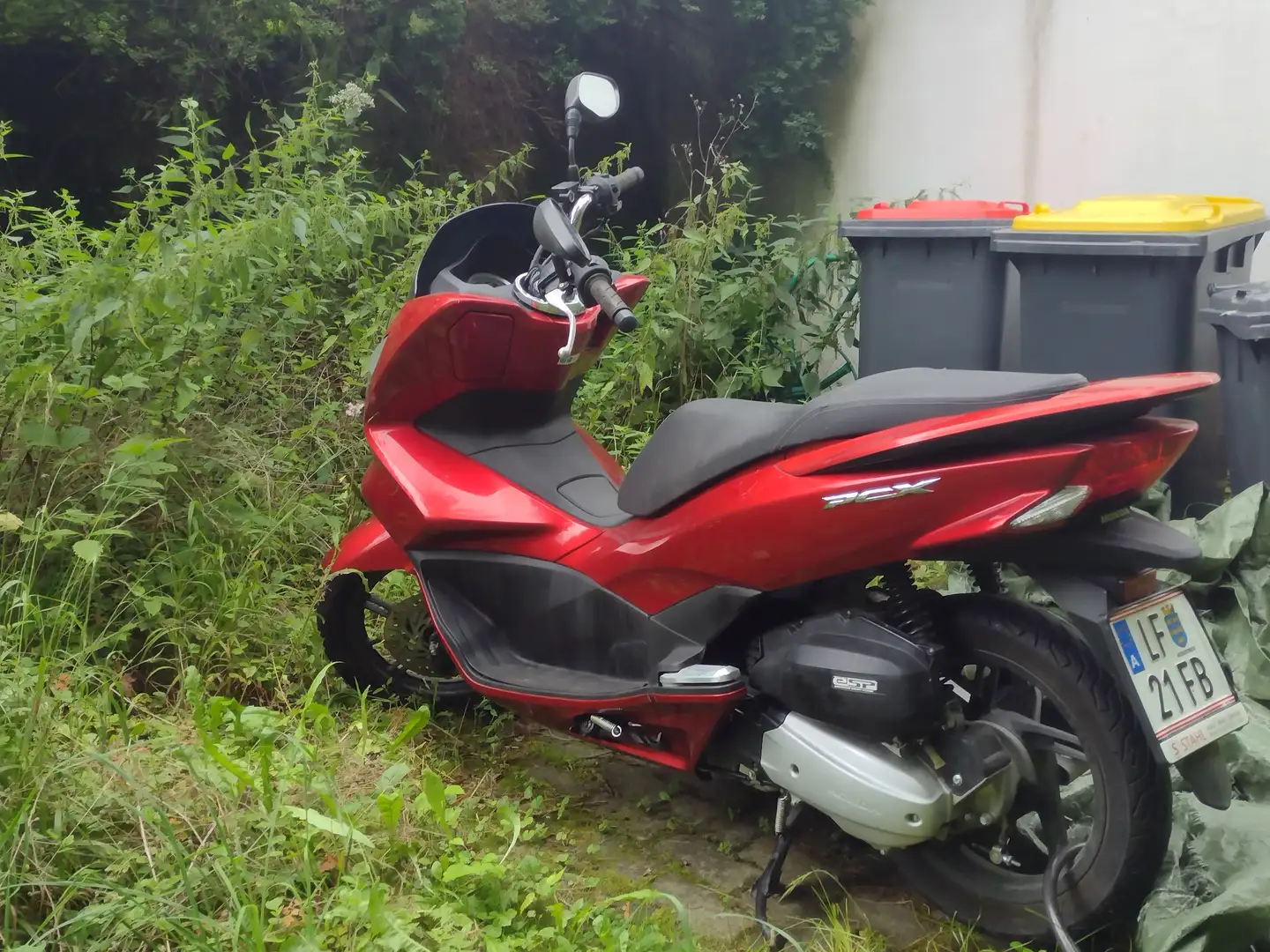 Honda PCX 125 Rot - 1