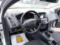Ford Focus 1.0 TITANIUM Gris - thumbnail 12