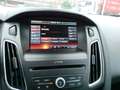 Ford Focus 1.0 TITANIUM Gris - thumbnail 22