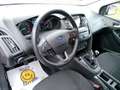 Ford Focus 1.0 TITANIUM Gris - thumbnail 19