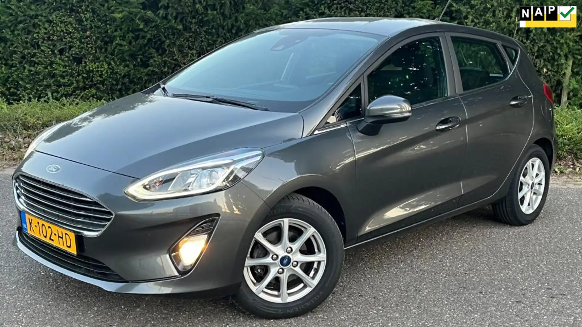 Ford Fiesta 1.0 EcoBoost Titanium l Automaat l NAP l 1e Eigena Grijs - 1