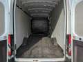 Ford Transit 350 L4H3 Top Zustand Tüv netto 12995€ Blanc - thumbnail 18