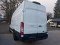Ford Transit 350 L4H3 Top Zustand Tüv netto 12995€ Blanc - thumbnail 9
