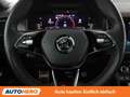 Skoda Kodiaq 2.0 TSI RS 4x4 Blau - thumbnail 19