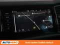 Skoda Kodiaq 2.0 TSI RS 4x4 Blau - thumbnail 21