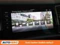 Skoda Kodiaq 2.0 TSI RS 4x4 Blau - thumbnail 26
