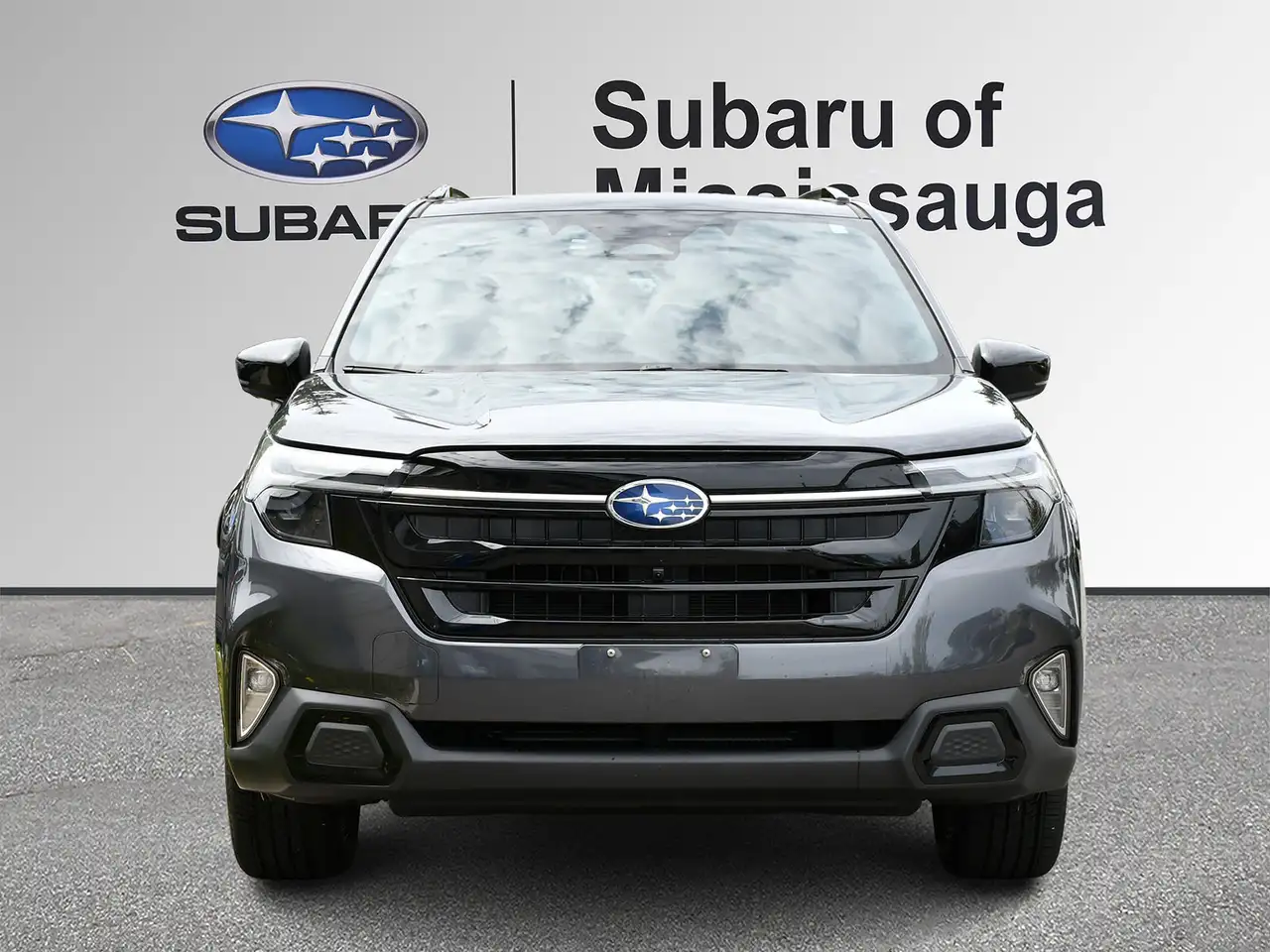 Subaru Forester fotografie Subaru Forester