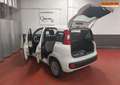 Fiat Panda 1.2 LPG * Airco * V/E * 1 an Garantie * 220 X 36 * Blanc - thumbnail 8
