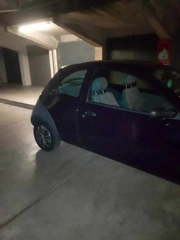 Ford Ka/Ka+ Ka 1.3 (university), foto 2