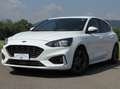 Ford Focus 1.0 eco boost ST-Line s Bianco - thumbnail 2