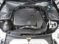 Mercedes-Benz C 300 Avantgarde Facelift Navigatie Camera Stoelverwarmi Schwarz - thumbnail 16