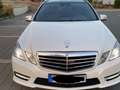 Mercedes-Benz E 500 E-Klasse T 4Matic BlueEFFICIENCY 7G-TRONIC Avantga Bianco - thumbnail 11