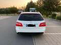 Mercedes-Benz E 500 E-Klasse T 4Matic BlueEFFICIENCY 7G-TRONIC Avantga Bianco - thumbnail 10