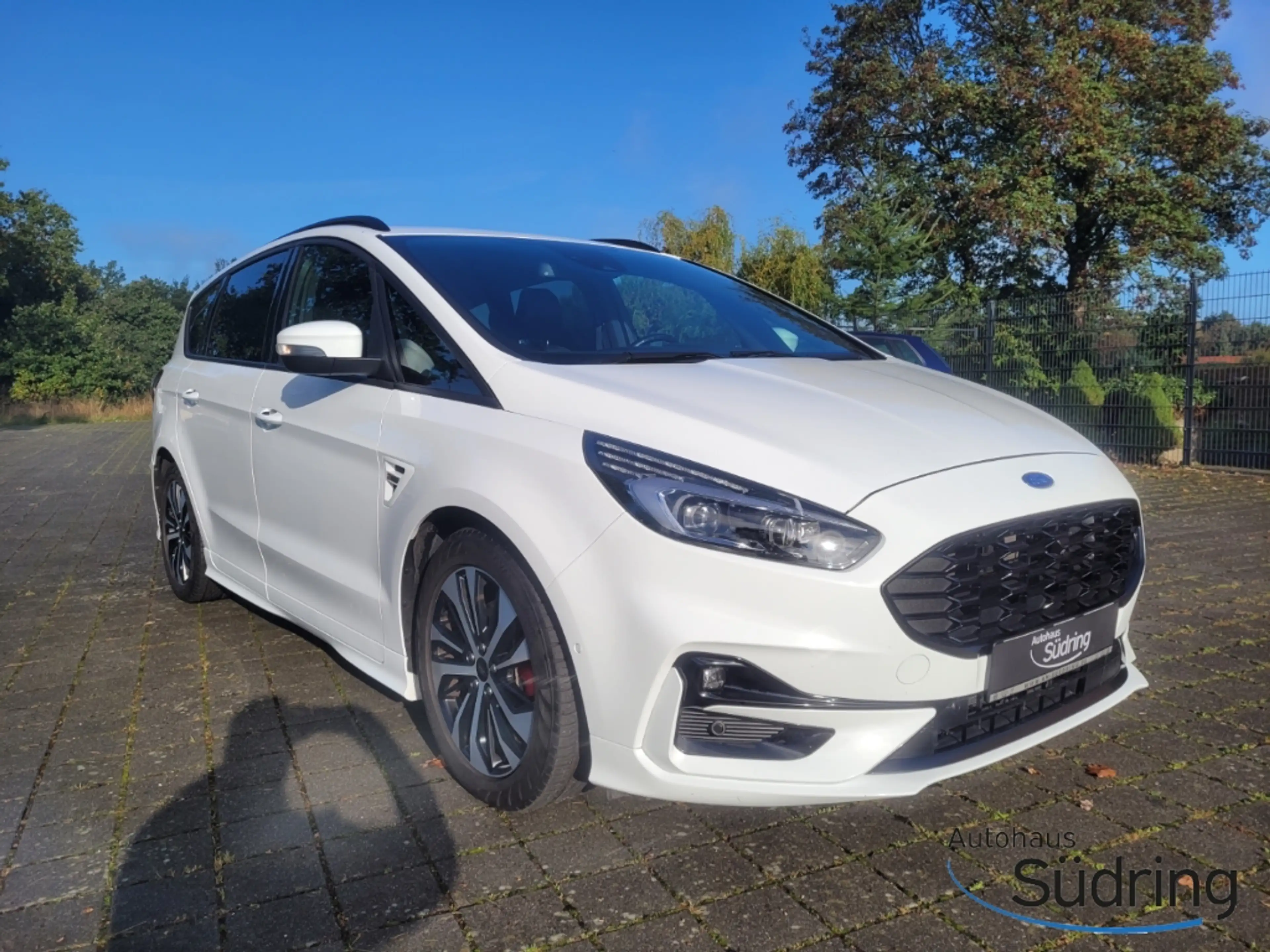 Ford S-Max 2.0 TDI EcoBlue ST-Line Automatik AHK — photo 3