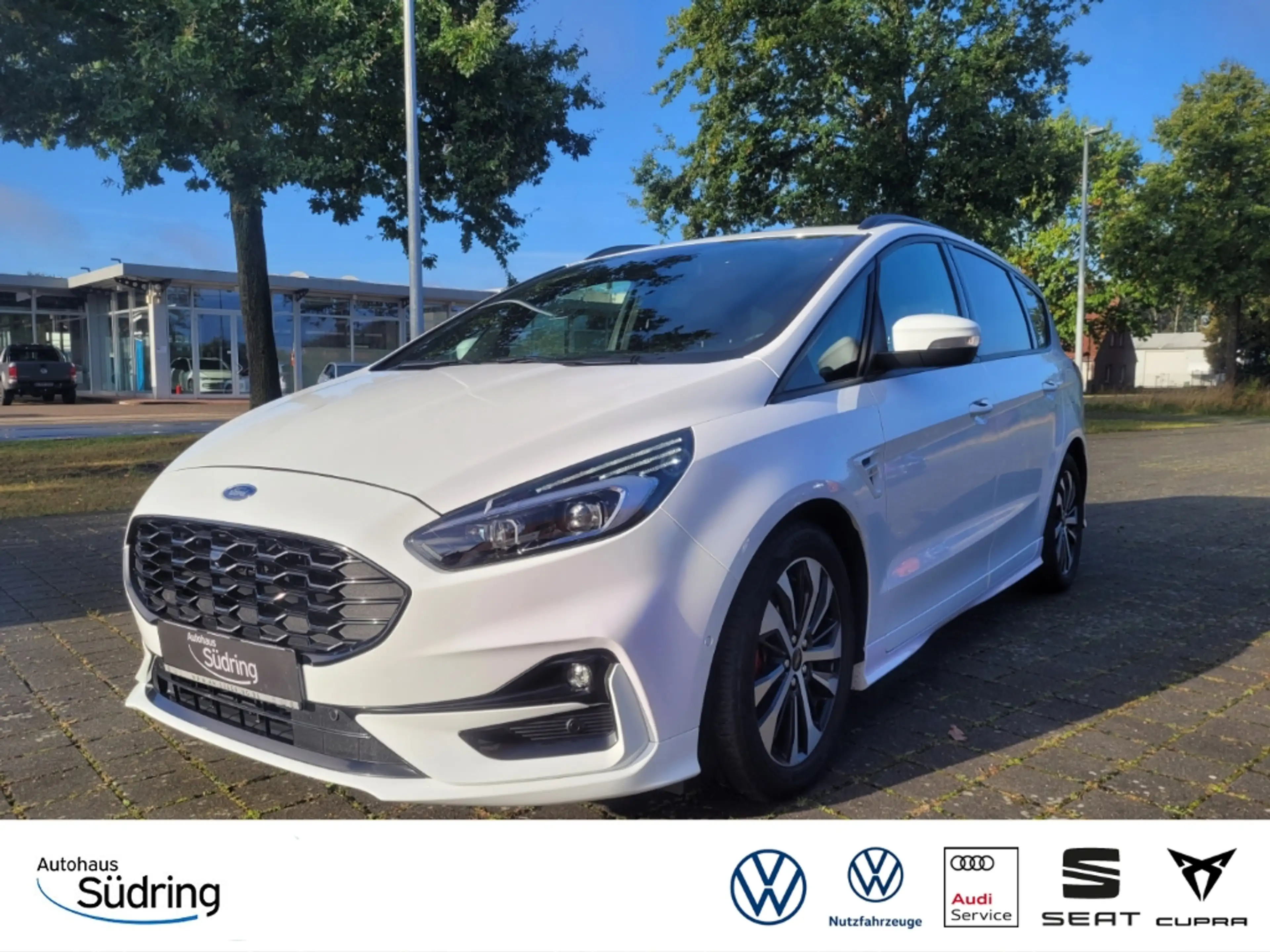 Ford S-Max 2.0 TDI EcoBlue ST-Line Automatik AHK