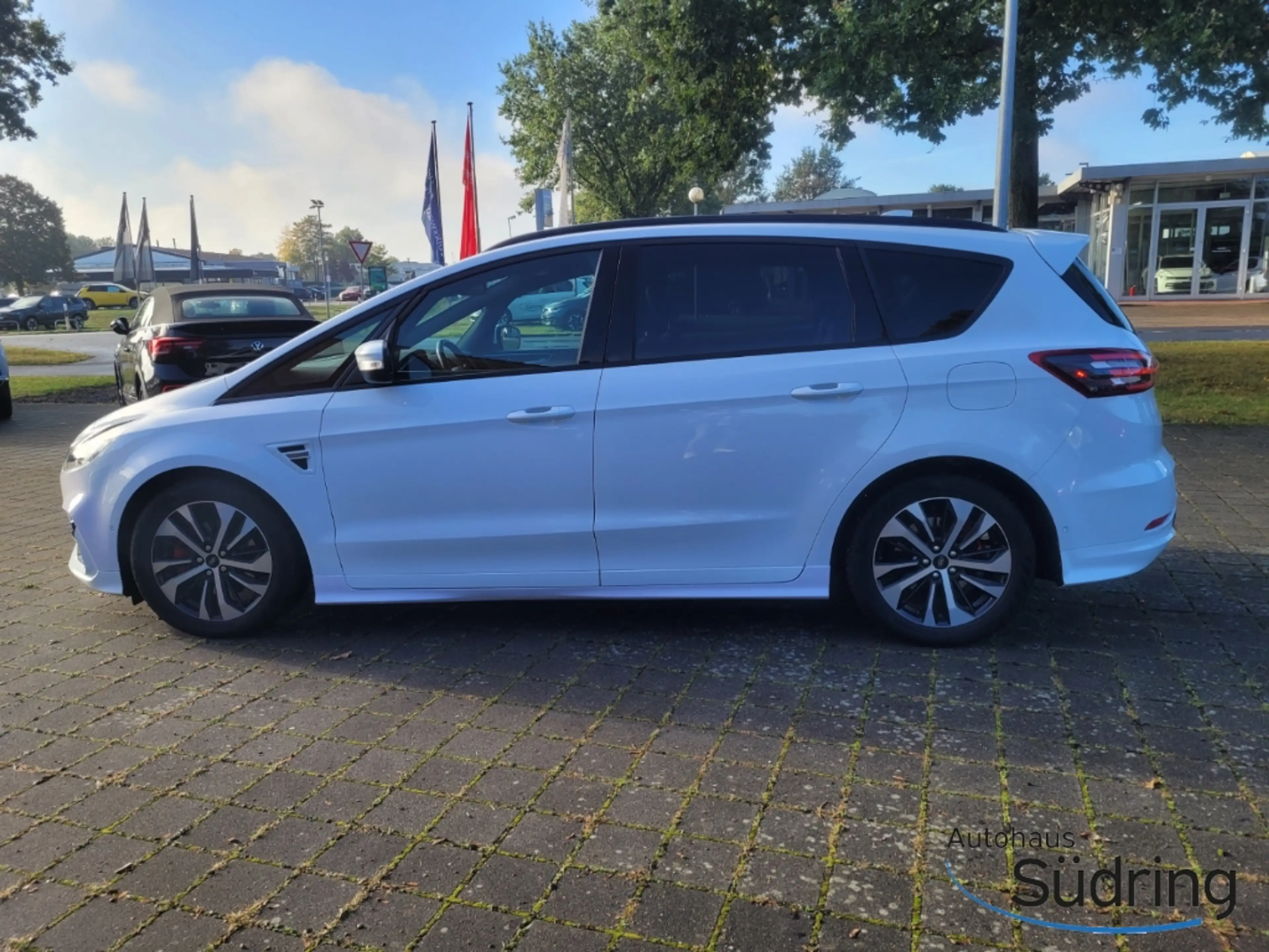 Ford S-Max 2.0 TDI EcoBlue ST-Line Automatik AHK — photo 9