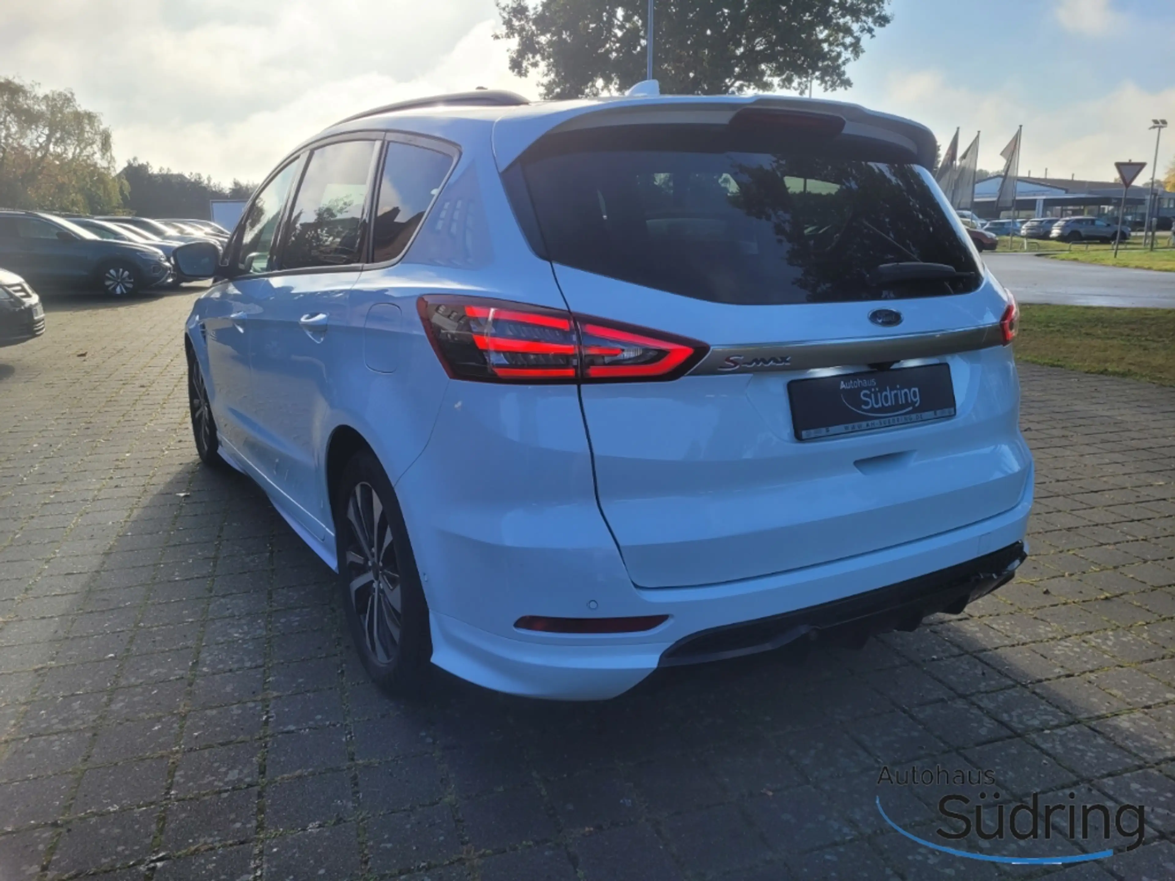 Ford S-Max 2.0 TDI EcoBlue ST-Line Automatik AHK — photo 8