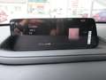 Mazda CX-30 e-Skyactive G140 Exclusive-Line Grau - thumbnail 13