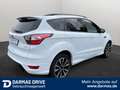 Ford Kuga Kuga 1.5 EcoBoost ST-Line 18" Keyless Sihz Navi - thumbnail 6