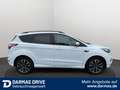Ford Kuga Kuga 1.5 EcoBoost ST-Line 18" Keyless Sihz Navi - thumbnail 5