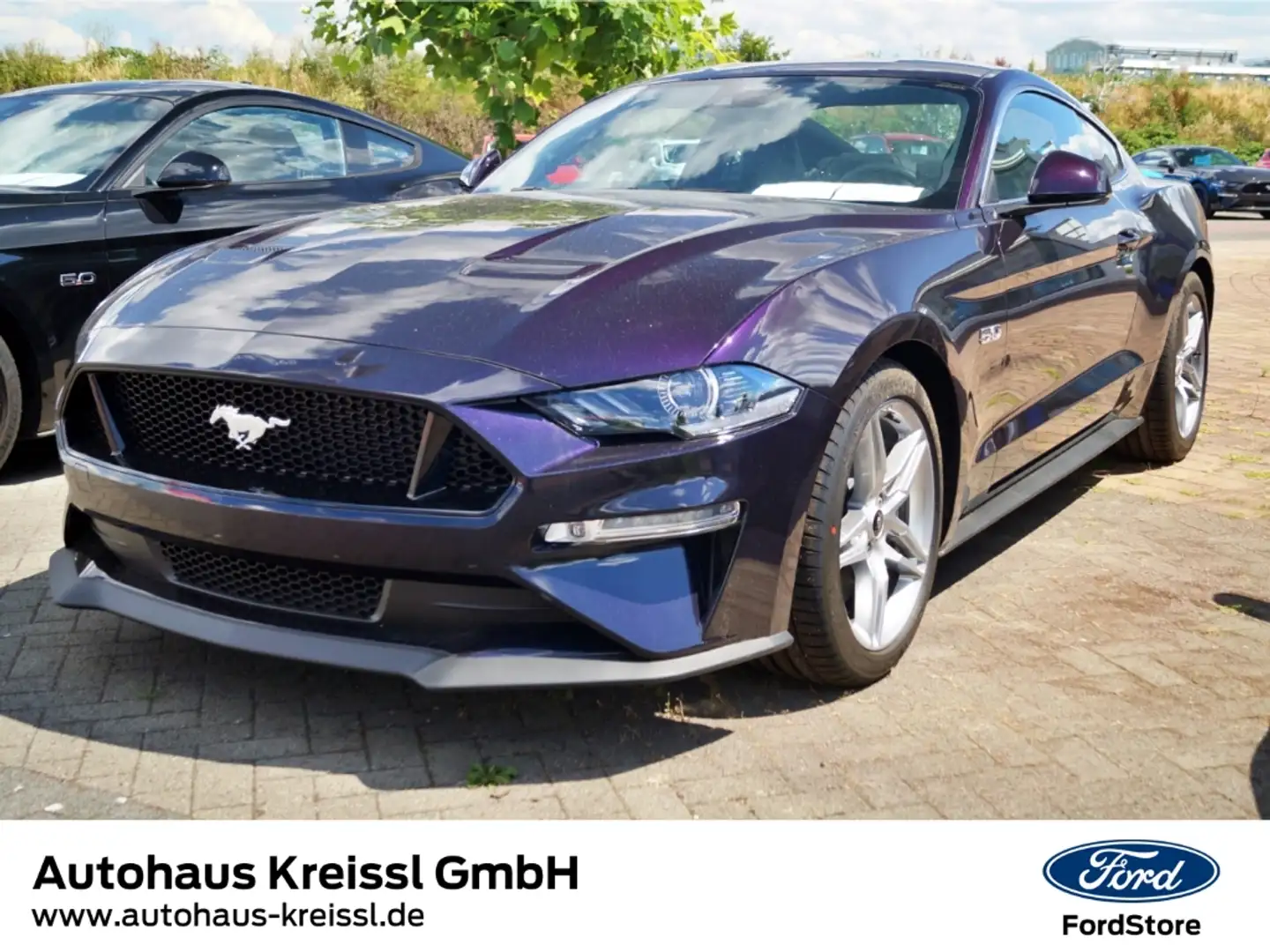 Ford Mustang GT Fastback 5.0 V8 Automatik MagneRide Paars - 1