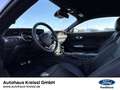 Ford Mustang GT Fastback 5.0 V8 Automatik MagneRide Mauve - thumbnail 10