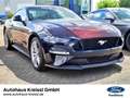 Ford Mustang GT Fastback 5.0 V8 Automatik MagneRide Paars - thumbnail 3