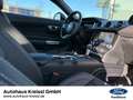 Ford Mustang GT Fastback 5.0 V8 Automatik MagneRide Burdeos - thumbnail 20