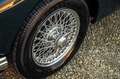 MG MGA 1600 *** BRITISH RACING GREEN / FULL HISTORY *** Verde - thumbnail 9