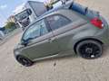 Fiat 500 1.2 Collezione 69cv my19 - thumbnail 3